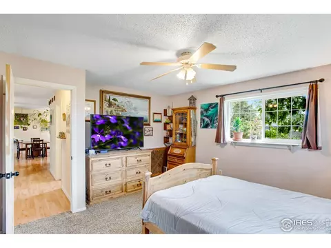 903 3rd St, Pierce, CO 80650 photo 18