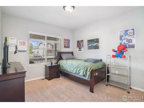742 Valleybrook Dr, Windsor, CO 80550 photo 13