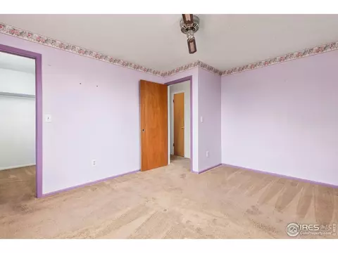 3792 E 114th Dr, Thornton, CO 80233 photo 16