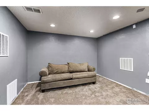 3792 E 114th Dr, Thornton, CO 80233 photo 23