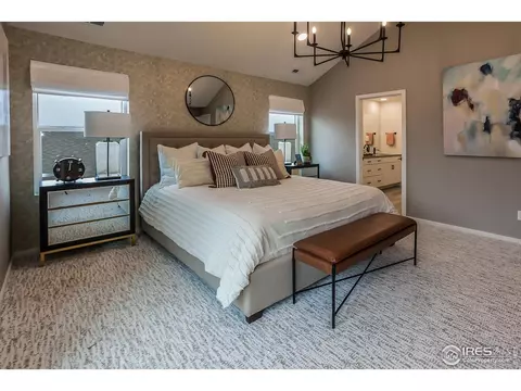 6063 Red Barn Rd, Timnath, CO 80547 photo 28