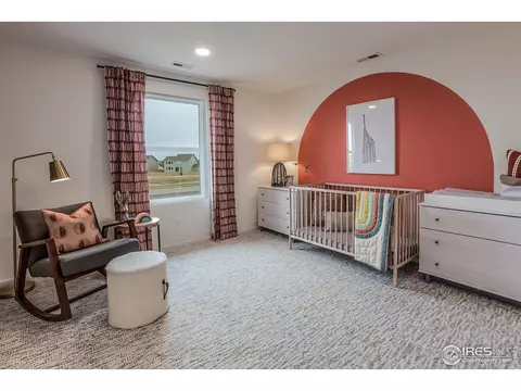6063 Red Barn Rd, Timnath, CO 80547 photo 33