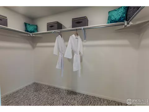 6063 Red Barn Rd, Timnath, CO 80547 photo 32