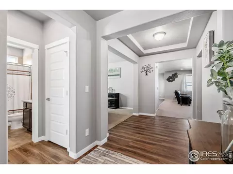 5176 Chantry Dr, Windsor, CO 80550 photo 3