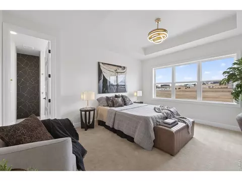 Bedroom - 2664 Cutter Dr, Severance, CO 80524 photo 3 of 5