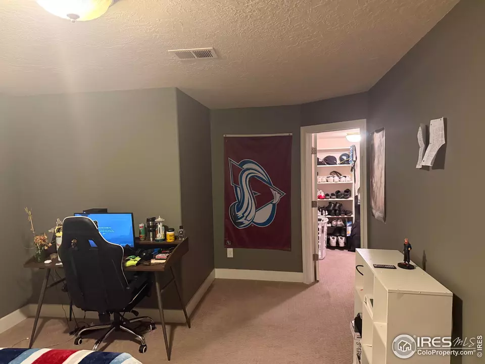 Bedroom - 1460 Hawkridge Rd, Eaton, CO 80615 photo 6 of 6