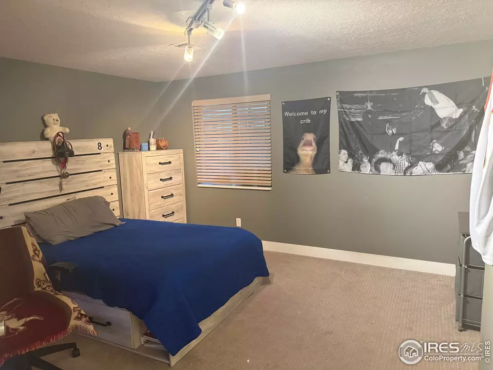 Bedroom - 1460 Hawkridge Rd, Eaton, CO 80615 photo 4 of 6