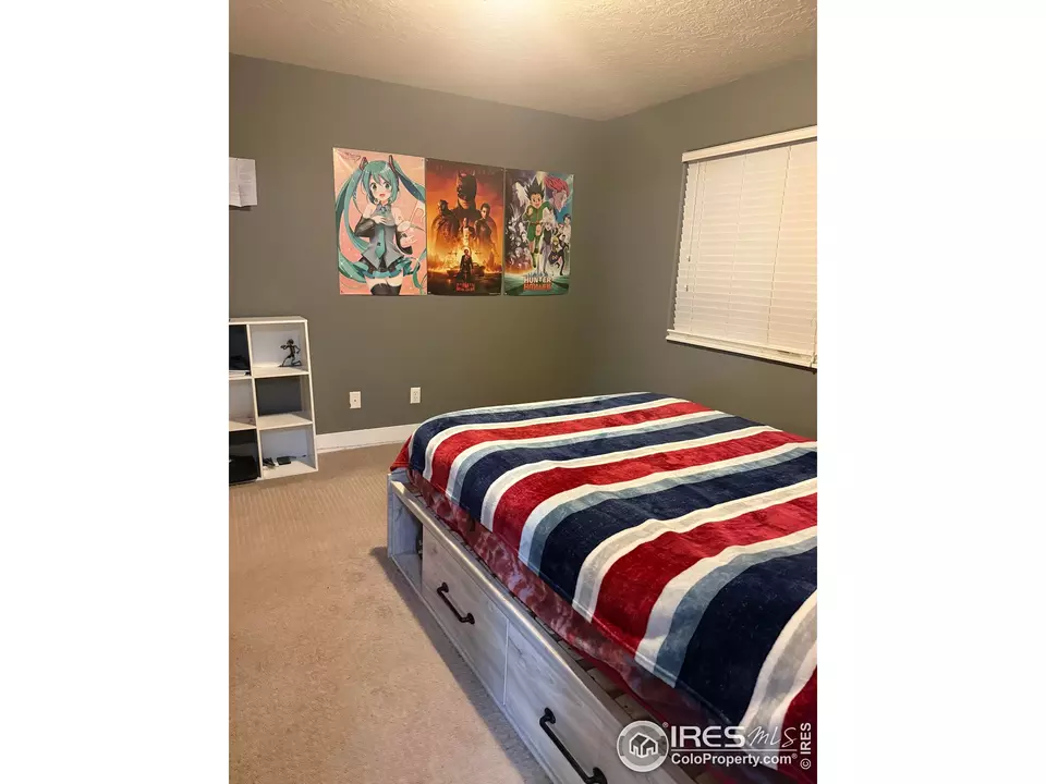 Bedroom - 1460 Hawkridge Rd, Eaton, CO 80615 photo 5 of 6