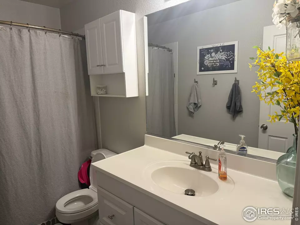 Bath - 1460 Hawkridge Rd, Eaton, CO 80615 photo 4 of 6