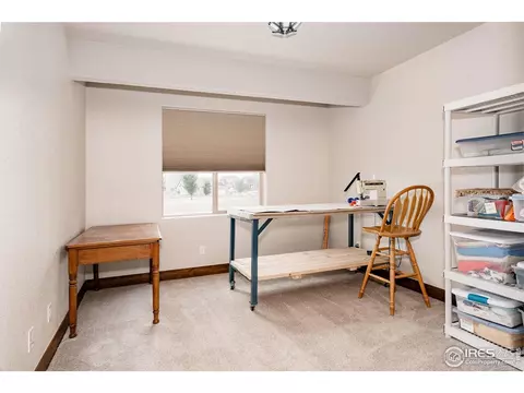 5854 Maidenhead Dr, Windsor, CO 80550 photo 34