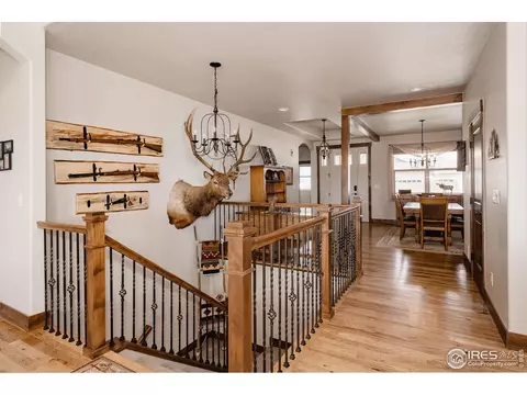 5854 Maidenhead Dr, Windsor, CO 80550 photo 18