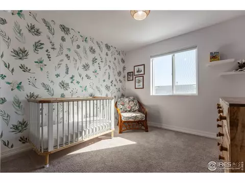 2355 Saddle Back Ct, Fort Lupton, CO 80621 photo 22
