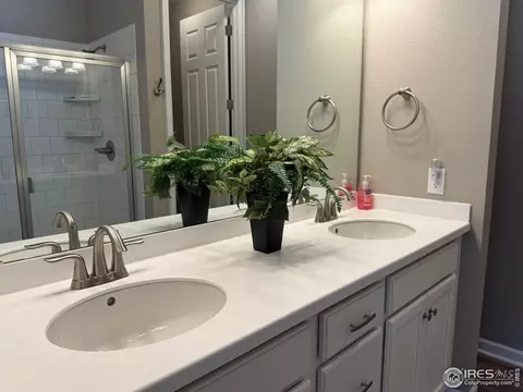 5536 Bexley Dr, Windsor, CO 80550 photo 26