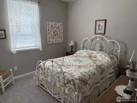 5536 Bexley Dr, Windsor, CO 80550 photo 28