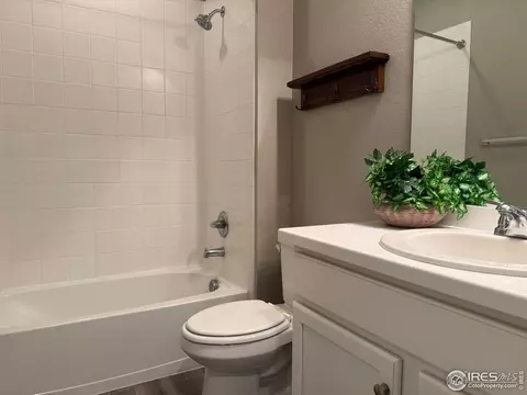 5536 Bexley Dr, Windsor, CO 80550 photo 30