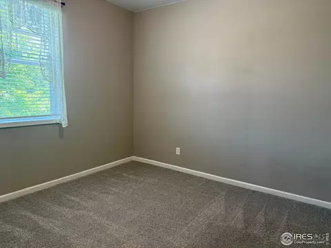 5536 Bexley Dr, Windsor, CO 80550 photo 29