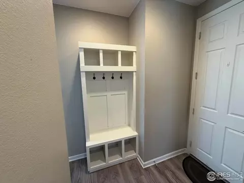 5536 Bexley Dr, Windsor, CO 80550 photo 31