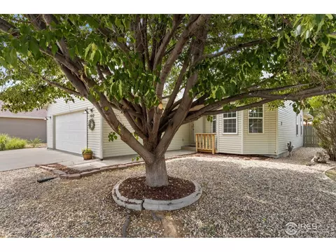 1012 Valley Dr, Windsor, CO 80550 photo 21