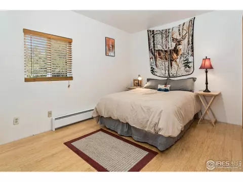 55 Eagle Ct, Drake, CO 80515 photo 13