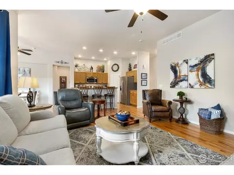 123 Kitty Hawk Dr, Windsor, CO 80550 photo 8