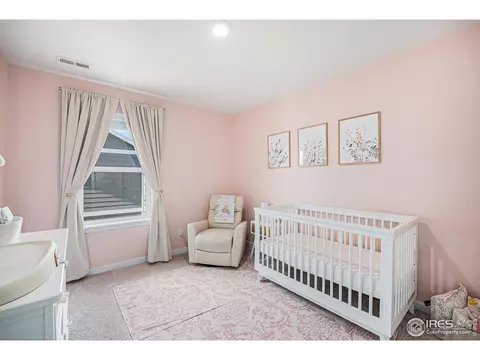 7415 E 158th Pl, Thornton, CO 80602 photo 20