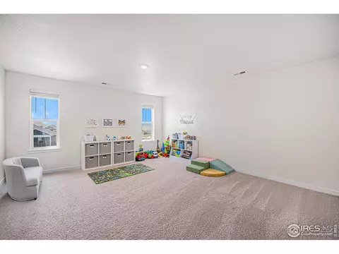 7415 E 158th Pl, Thornton, CO 80602 photo 15