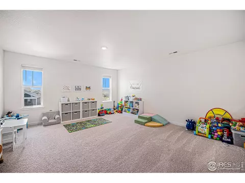 7415 E 158th Pl, Thornton, CO 80602 photo 16