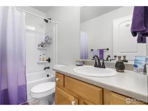 1774 Thrive Dr, Windsor, CO 80550 photo 28