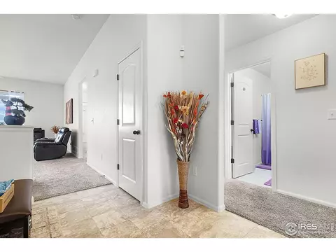 1774 Thrive Dr, Windsor, CO 80550 photo 29