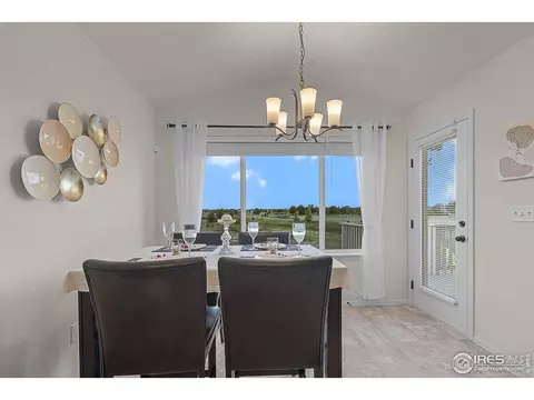 1774 Thrive Dr, Windsor, CO 80550 photo 19