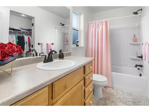 1774 Thrive Dr, Windsor, CO 80550 photo 25
