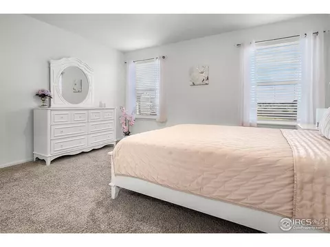 1774 Thrive Dr, Windsor, CO 80550 photo 22