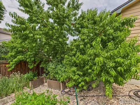 2129 72nd Ave Ct, Greeley, CO 80634 photo 26