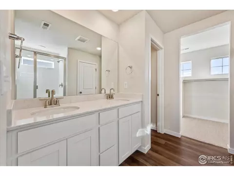 4394 Trader St, Timnath, CO 80547 photo 22