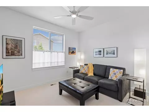 602 E Michigan Ave, Berthoud, CO 80513 photo 10