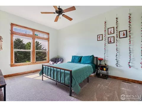 37054 Soaring Eagle Cir, Severance, CO 80550 photo 22