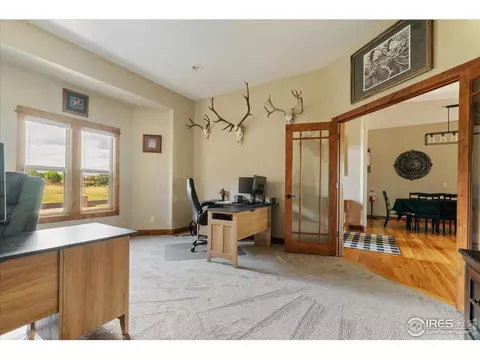 37054 Soaring Eagle Cir, Severance, CO 80550 photo 24
