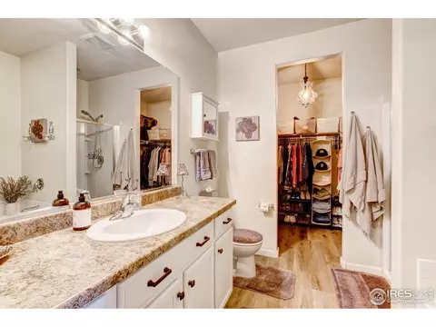11209 Charles St, Longmont, CO 80504 photo 20