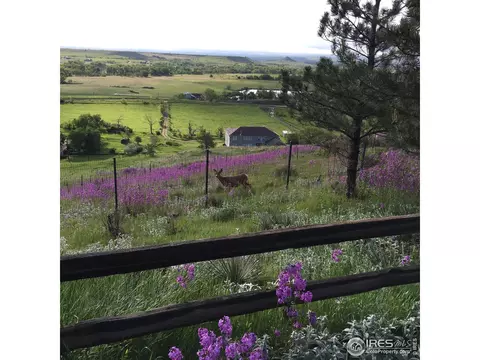 Other - 8400 Middle Fork Rd, Boulder, CO 80302 photo 9 of 10