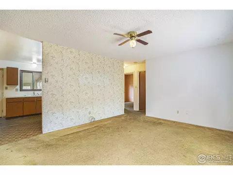 3513 Sabre Dr, Laporte, CO 80535 photo 5