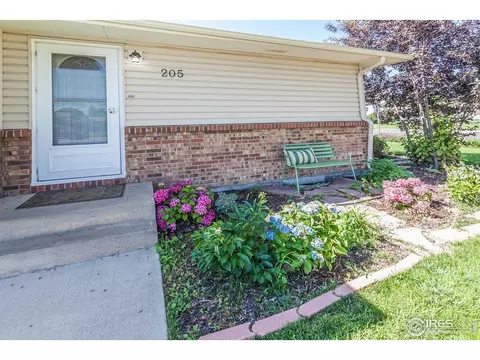205 Maple Ct, Windsor, CO 80550 photo 3