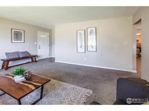 205 Maple Ct, Windsor, CO 80550 photo 8