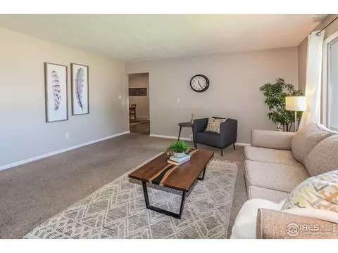 205 Maple Ct, Windsor, CO 80550 photo 9