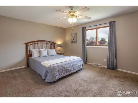 205 Maple Ct, Windsor, CO 80550 photo 18