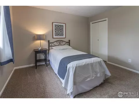 205 Maple Ct, Windsor, CO 80550 photo 20