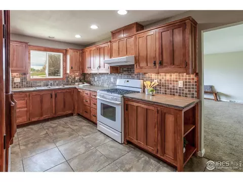 205 Maple Ct, Windsor, CO 80550 photo 10