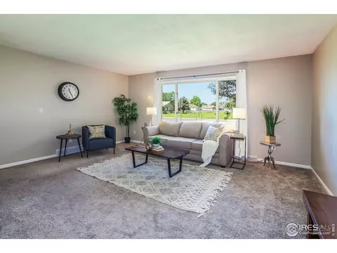 205 Maple Ct, Windsor, CO 80550 photo 6