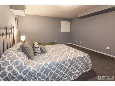 205 Maple Ct, Windsor, CO 80550 photo 28