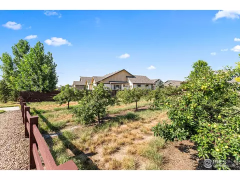 2051 Grain Bin Dr, Windsor, CO 80550 photo 39