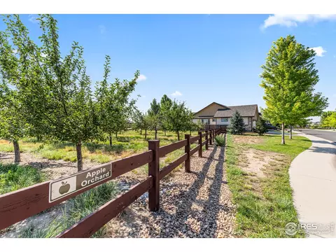 2051 Grain Bin Dr, Windsor, CO 80550 photo 7